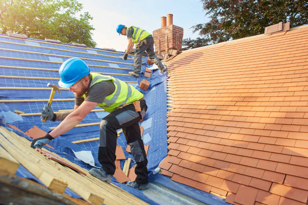 Best Asphalt Shingle Roofing  in Cleveland, TN